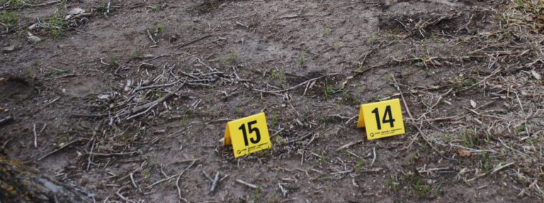 Forensic and Investigative Sciences Level I
