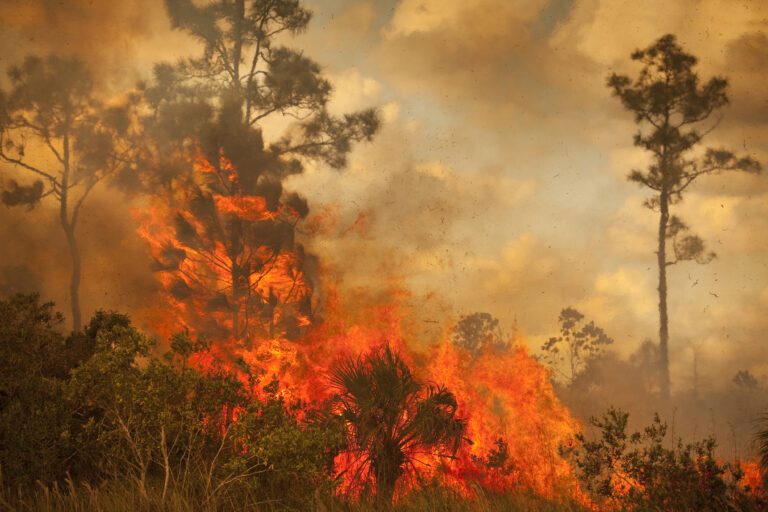 Preparing for Wildfire Season: Training That Saves Lives